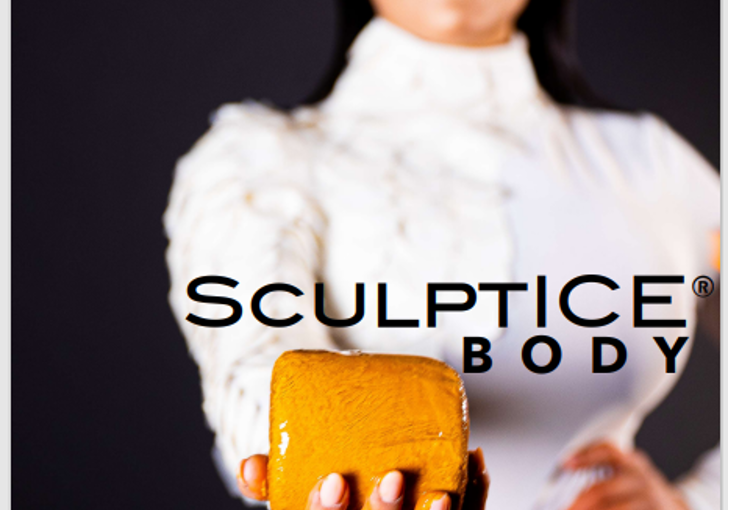 sculptice-11